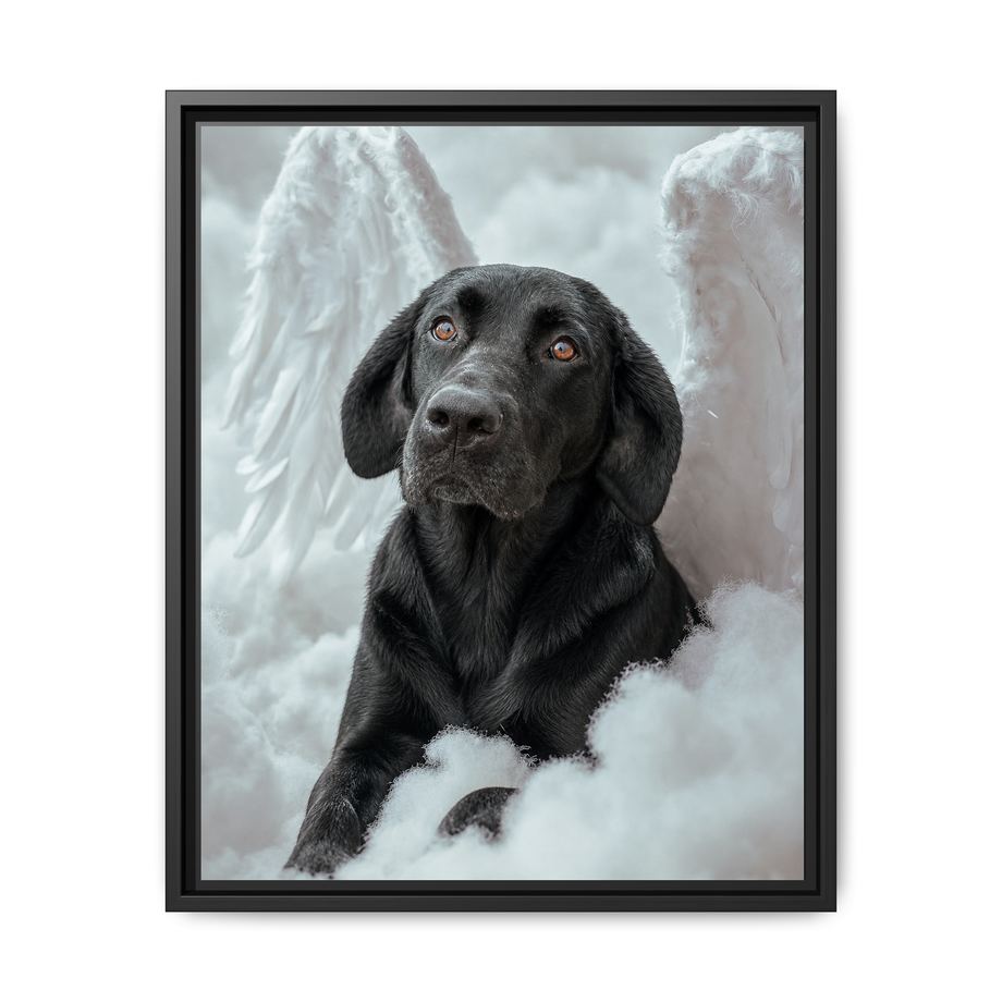 Framed 16x20 Black front