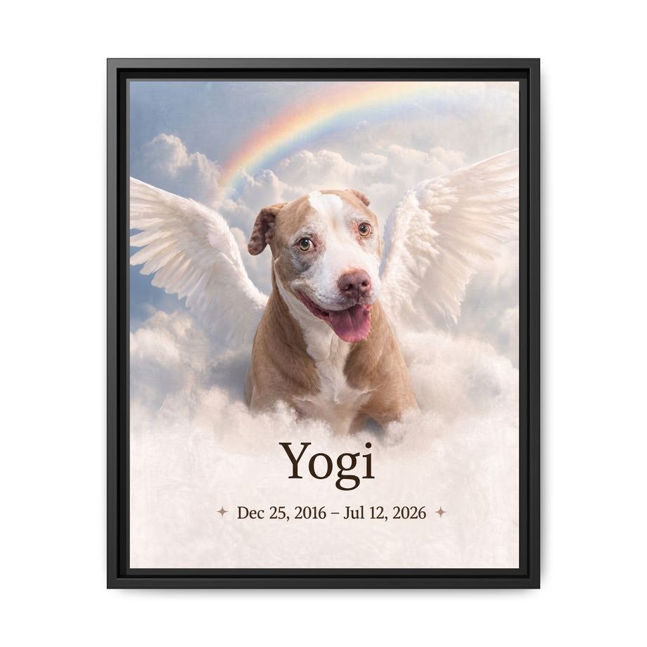 Framed 16x20 Black front