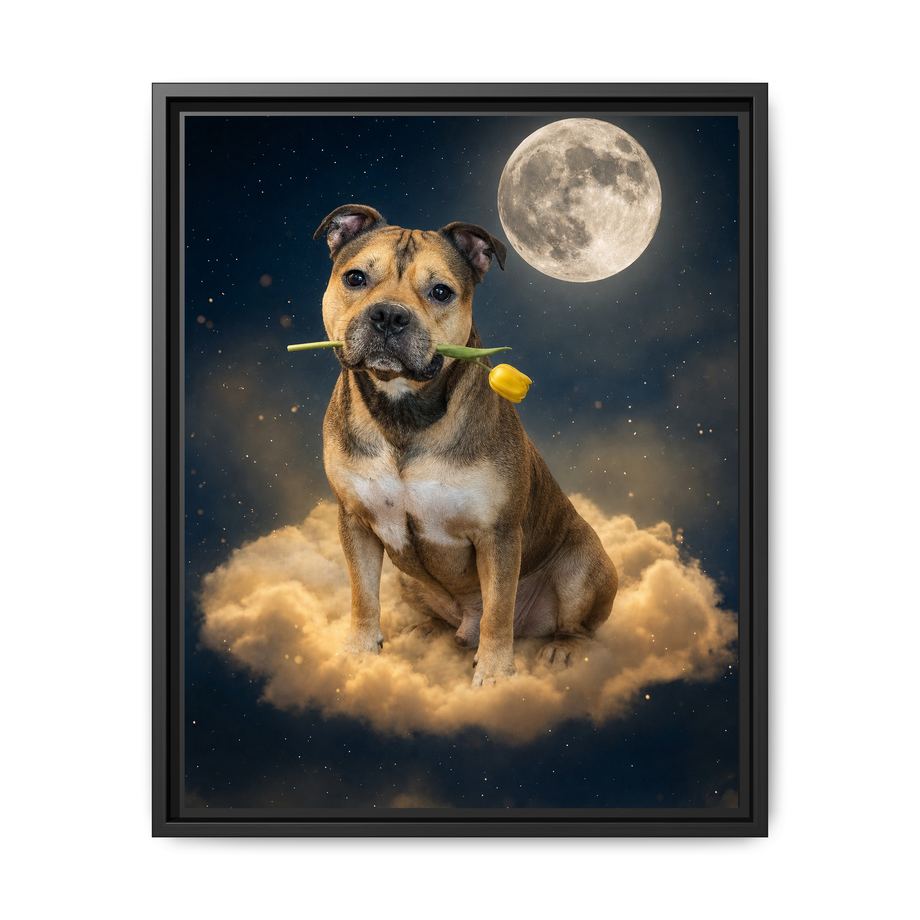 Framed 16x20 Black front