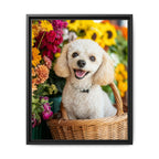 Framed 16x20 Black front