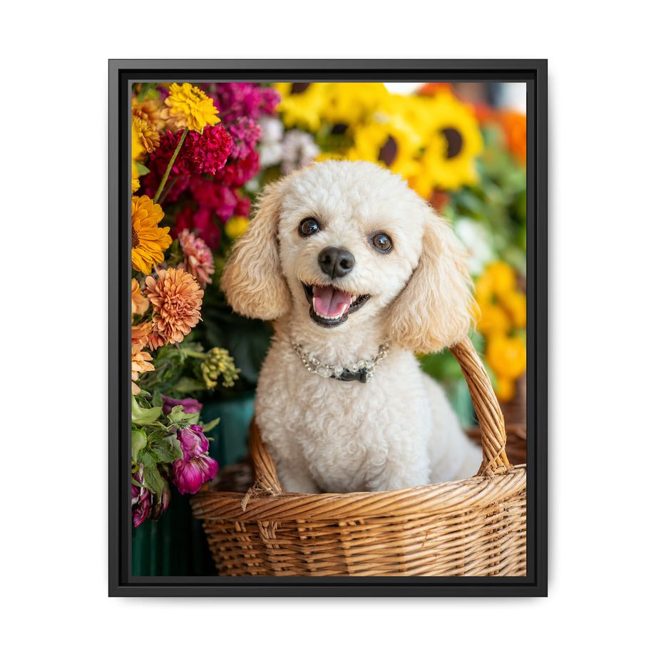 Framed 16x20 Black front