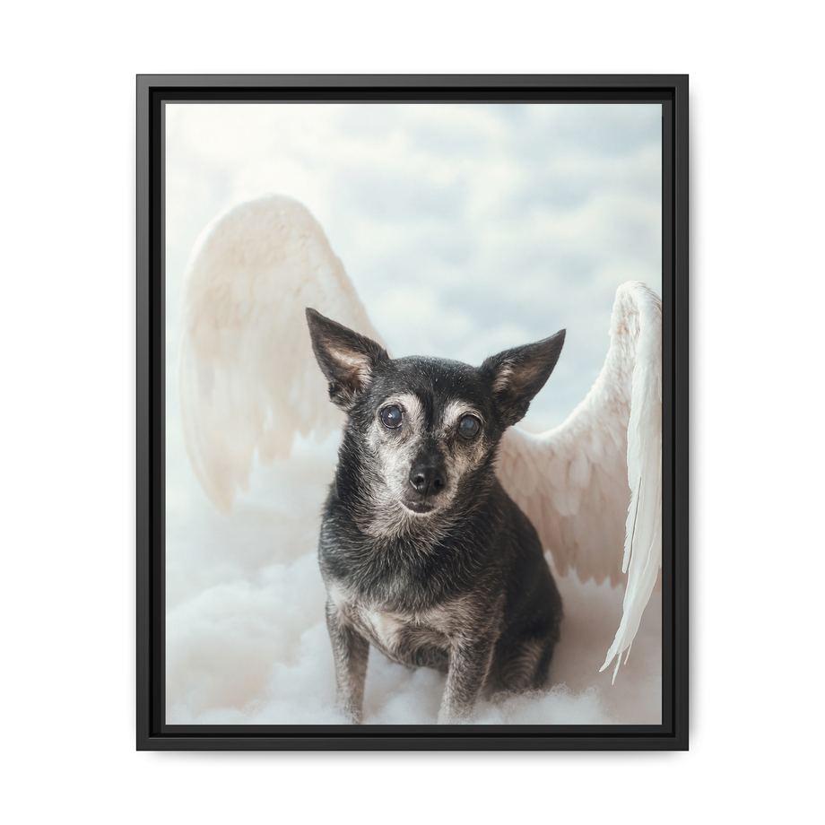 Framed 16x20 Black front