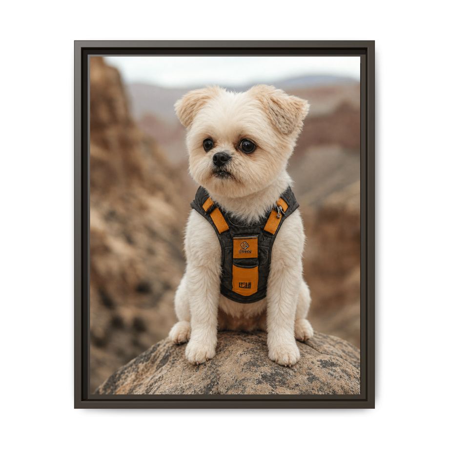 Framed 16x20 Espresso front