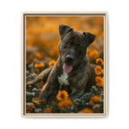 Framed 16x20 Natural front