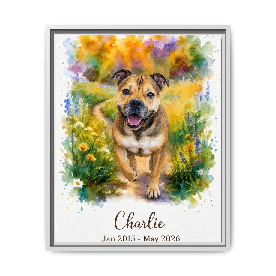 Framed 16x20 White front
