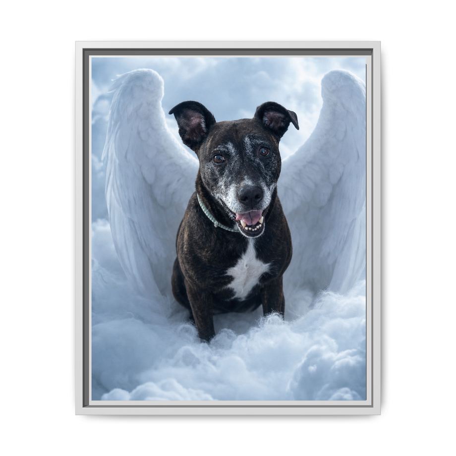Framed 16x20 White front