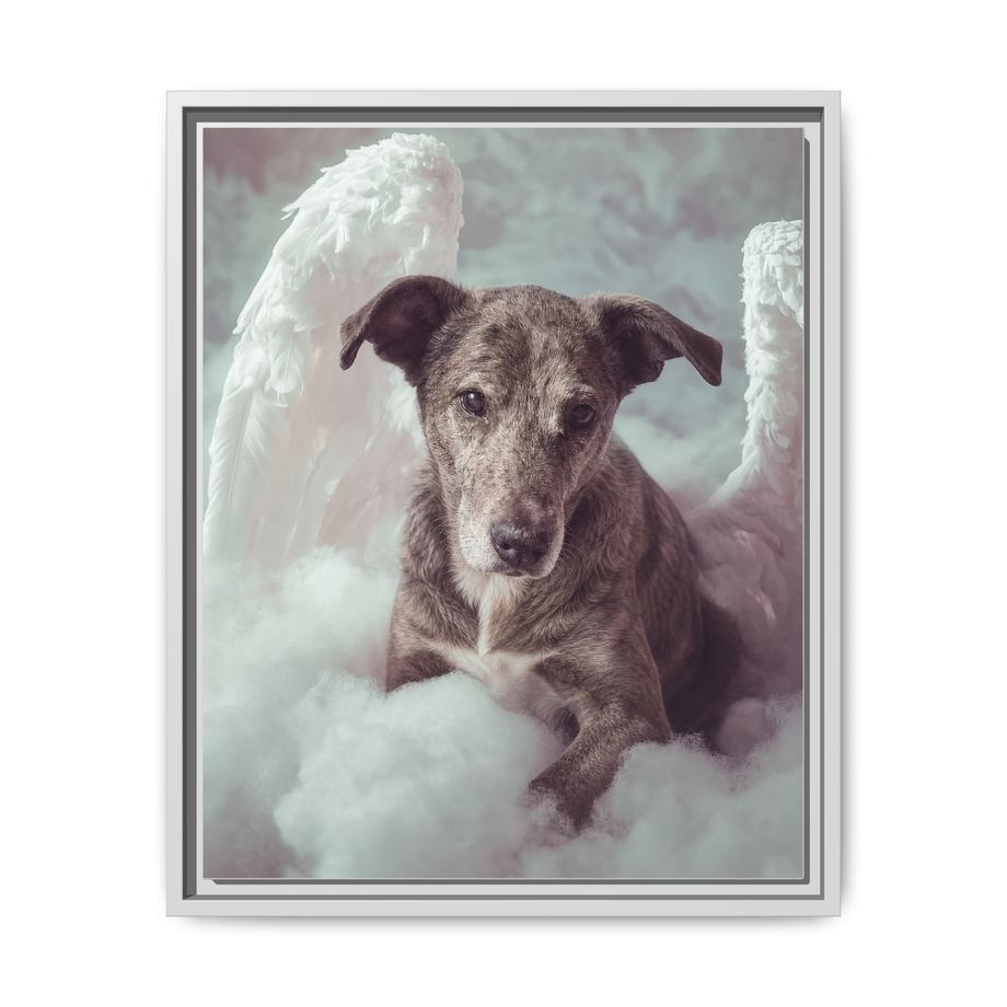 Framed 16x20 White front