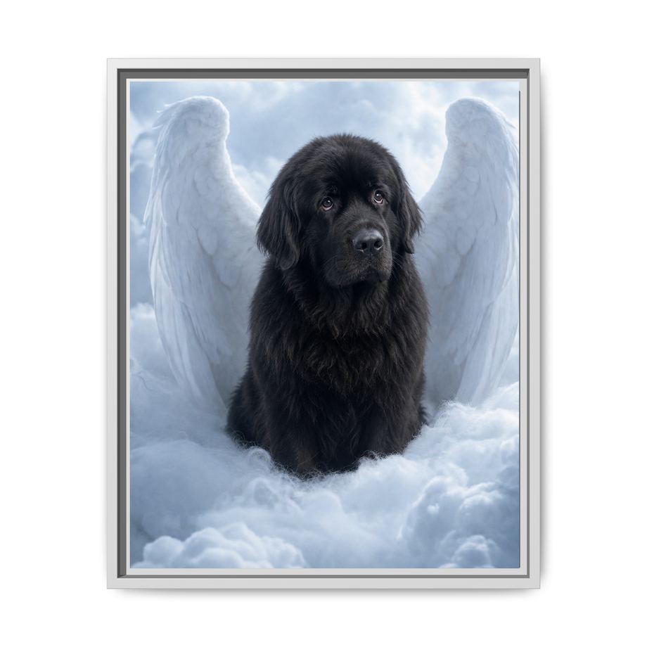 Framed 16x20 White front