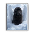 Framed 16x20 White front