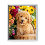 Framed 16x20 White front
