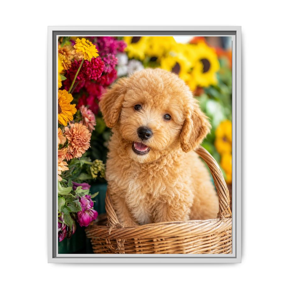 Framed 16x20 White front