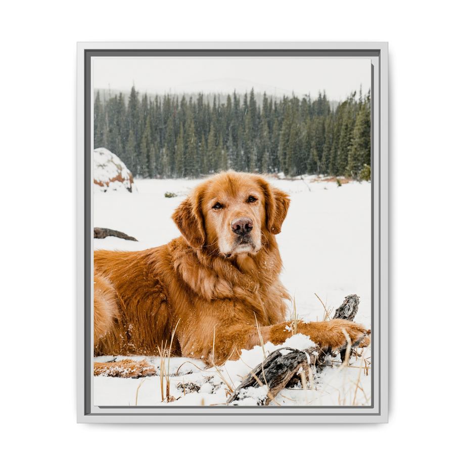 Framed 16x20 White front