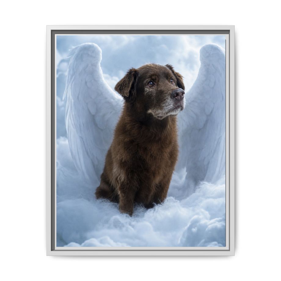 Framed 16x20 White front