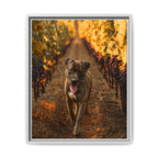 Framed 16x20 White front