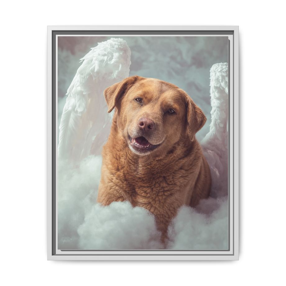 Framed 16x20 White front