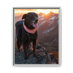 Framed 16x20 White front