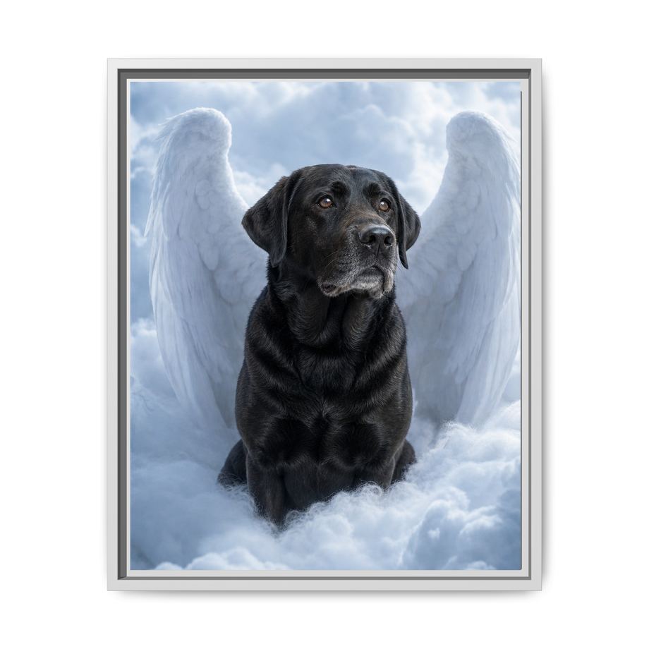 Framed 16x20 White front