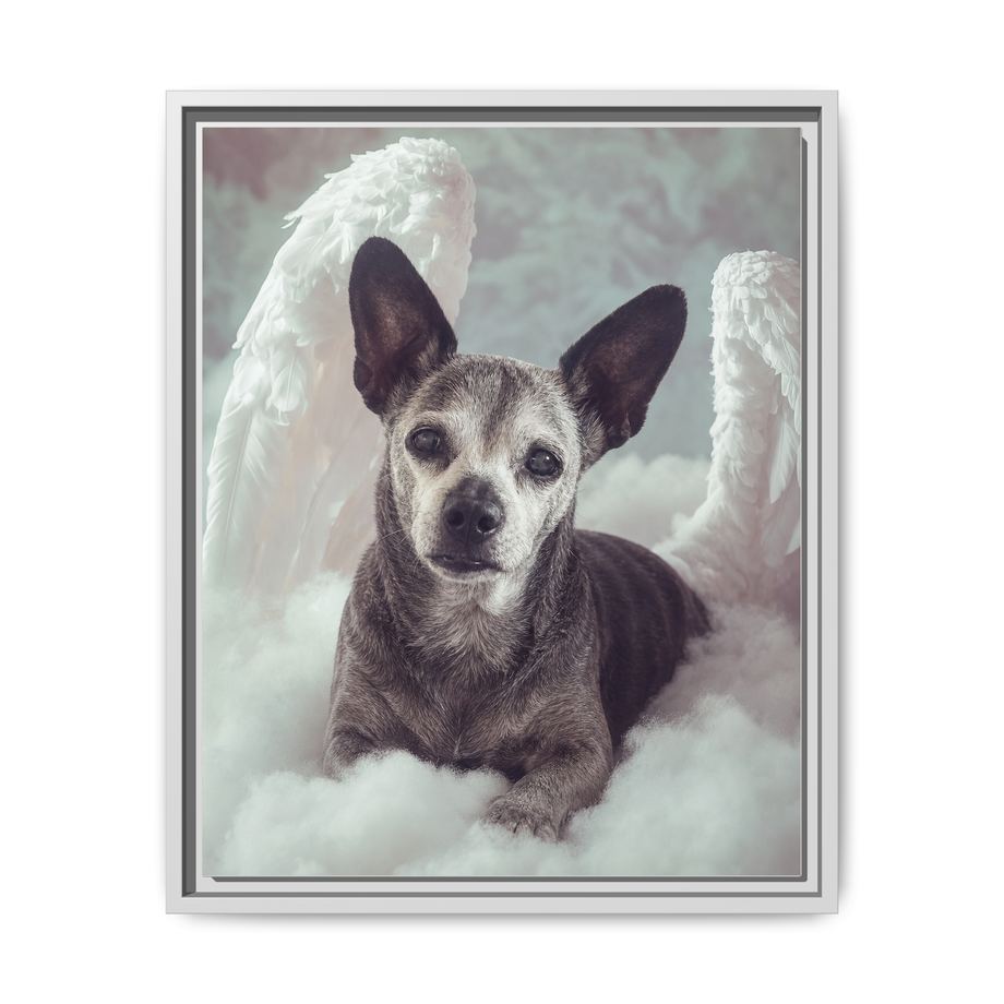 Framed 16x20 White front