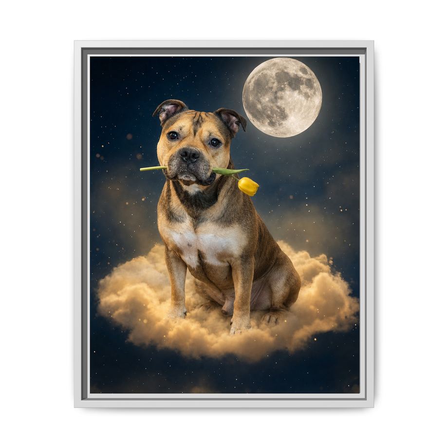 Framed 16x20 White front