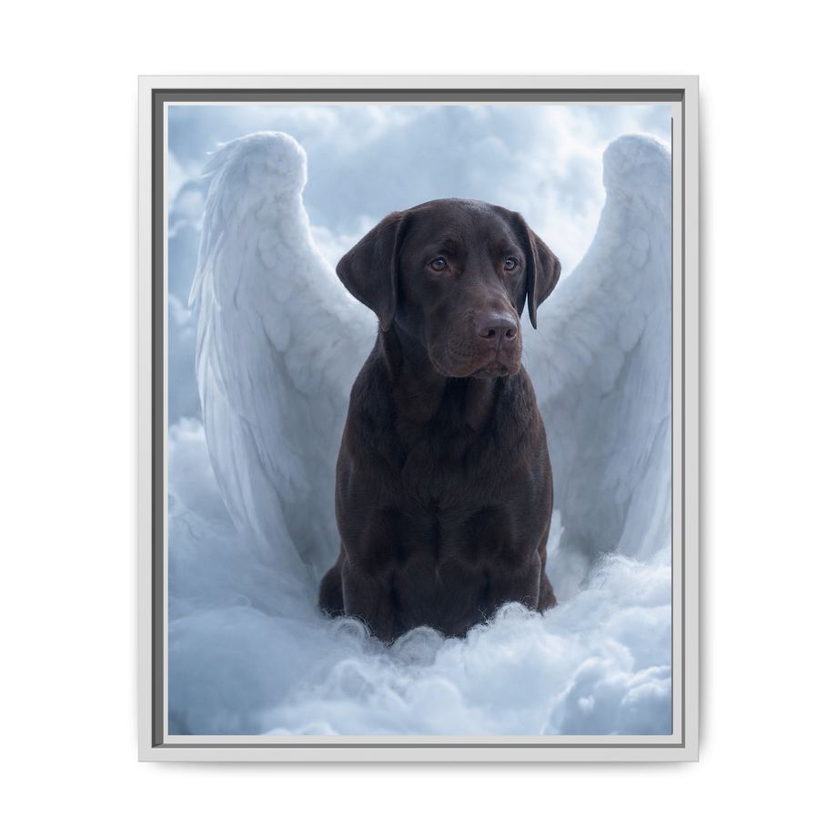 Framed 16x20 White front