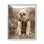 Framed 16x20 White front