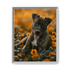 Framed 16x20 White front