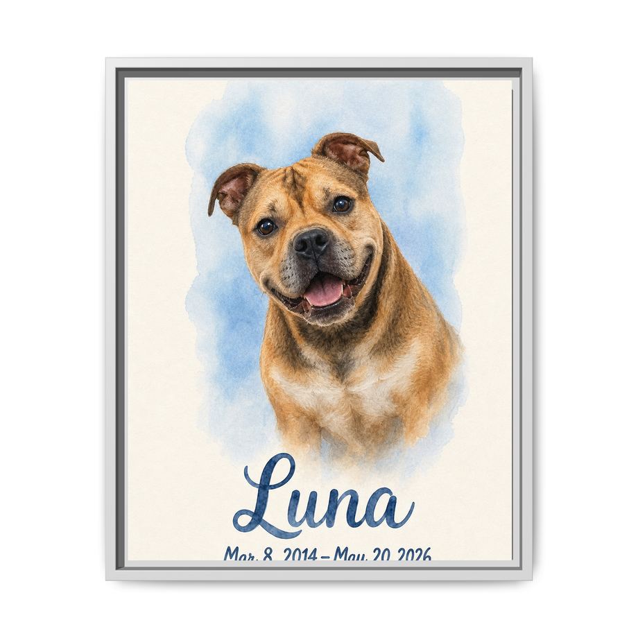 Framed 16x20 White front