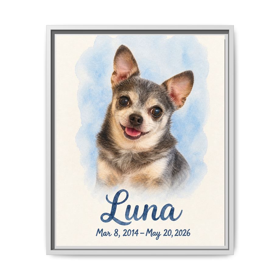 Framed 16x20 White front