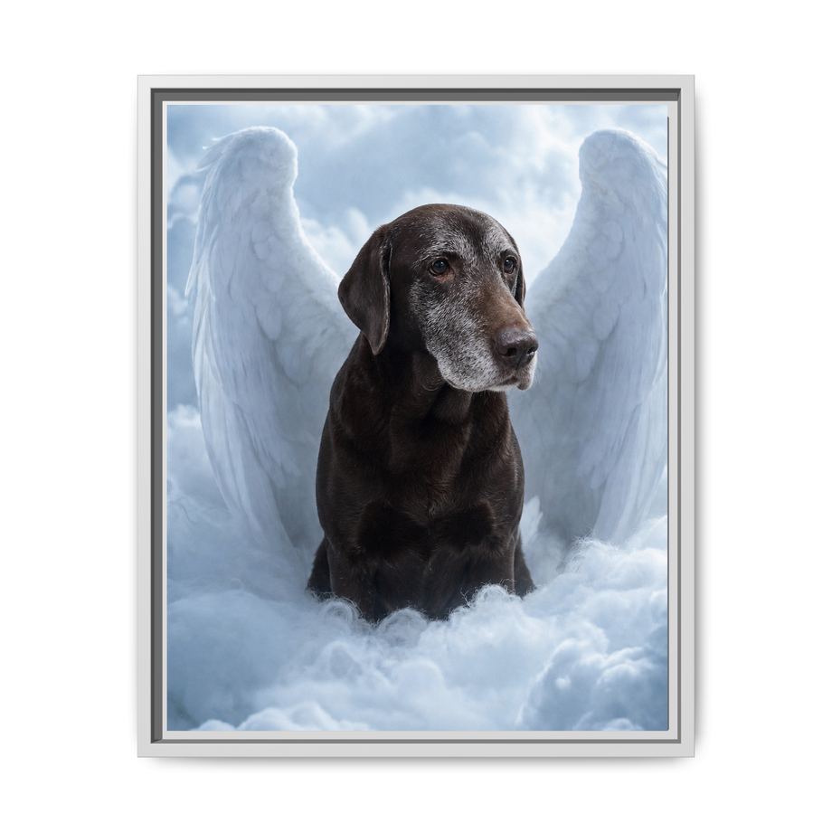 Framed 16x20 White front