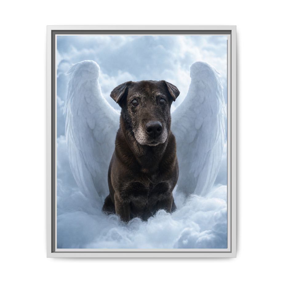 Framed 16x20 White front
