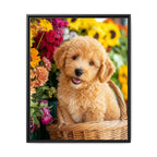 Framed 24x30 Black front