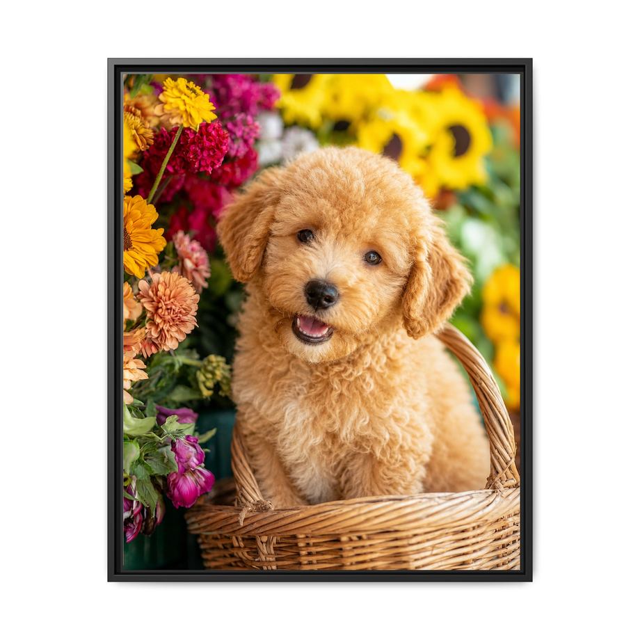 Framed 24x30 Black front