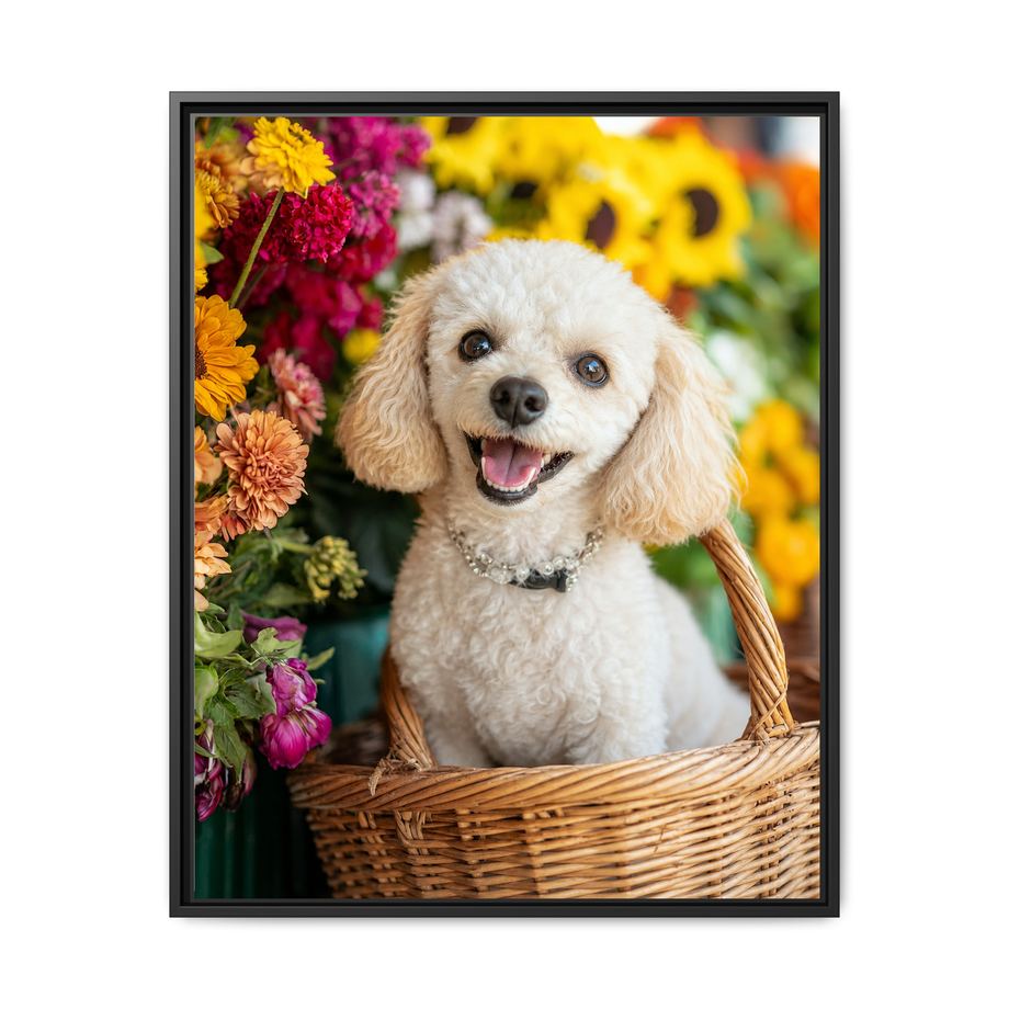 Framed 24x30 Black front