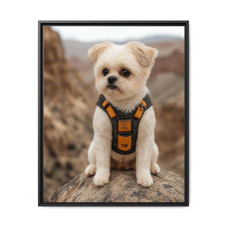 Framed 24x30 Black front