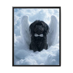 Framed 24x30 Black front
