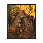 Framed 24x30 Black front