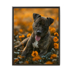 Framed 24x30 Espresso front