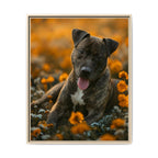 Framed 24x30 Natural front
