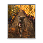 Framed 24x30 White front