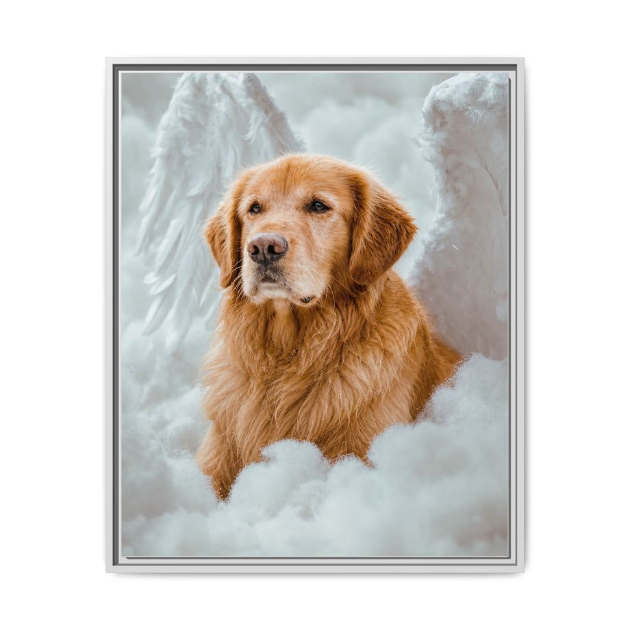Framed 24x30 White front