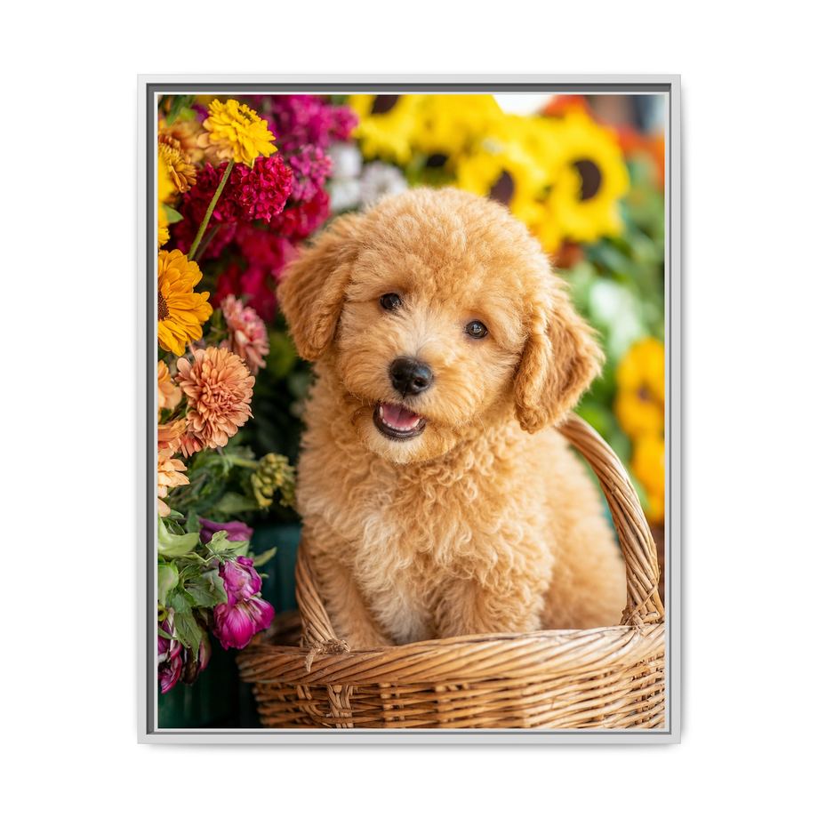 Framed 24x30 White front
