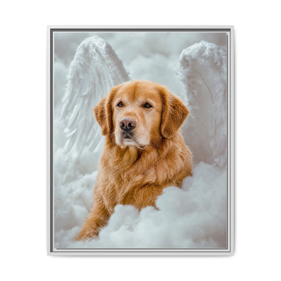 Framed 24x30 White front