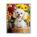 Framed 24x30 White front