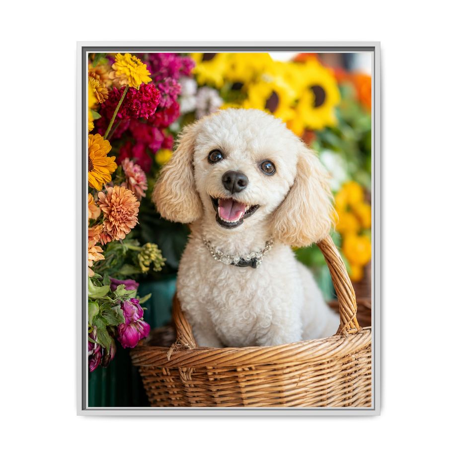 Framed 24x30 White front