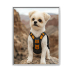Framed 24x30 White front