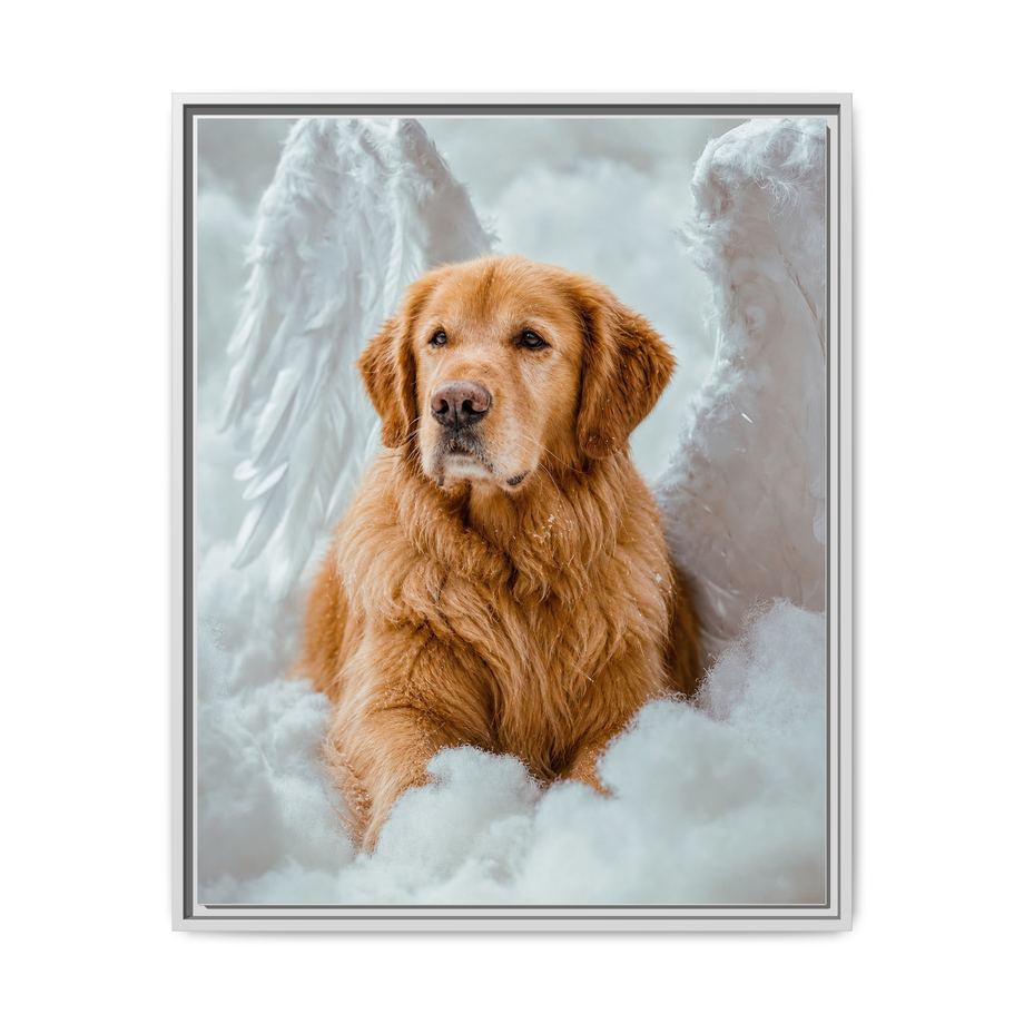 Framed 24x30 White front