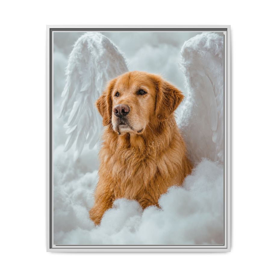 Framed 24x30 White front