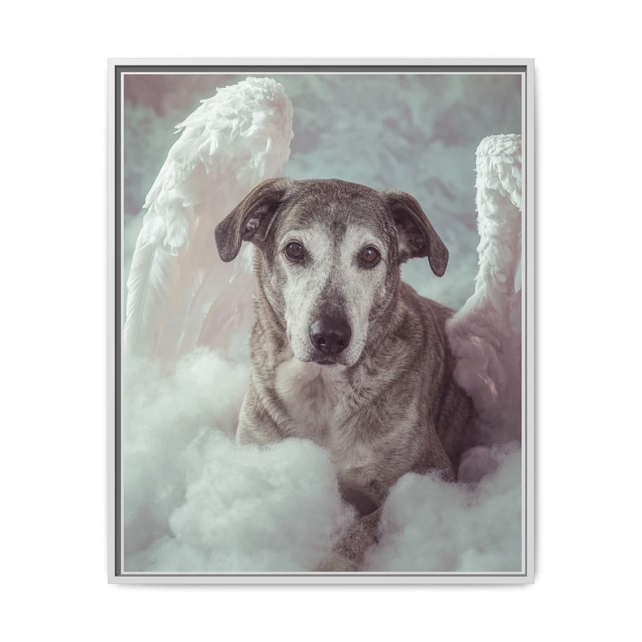 Framed 24x30 White front