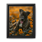 Framed 8x10 Black front