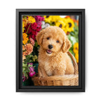 Framed 8x10 Black front